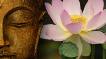 Sem Lama, Não Há Lotus: Transformação Espiritual