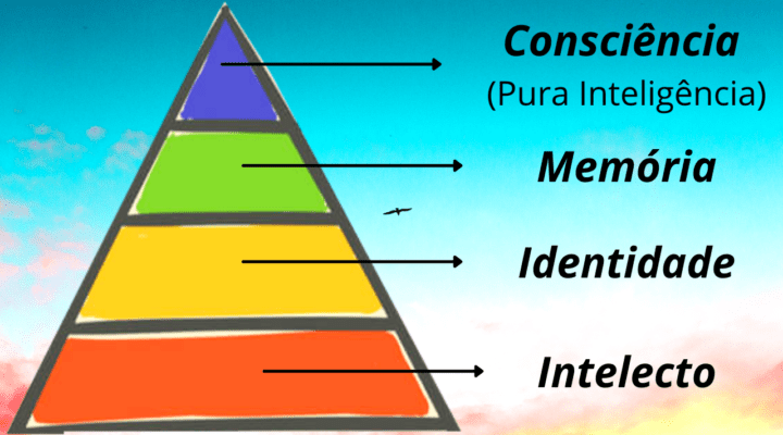 As Diferentes Dimensões da Inteligência Humana (As 4 Partes da Mente Humana)