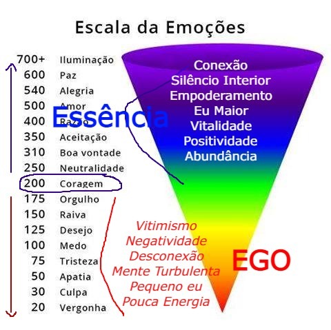 Poder versus Força Uma anatomia da consciência humana